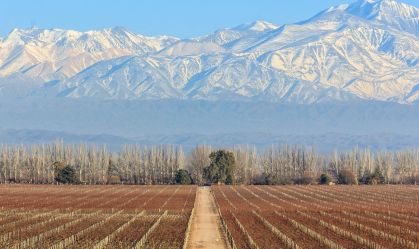 Mendoza: vinícolas que valem estar no seu roteiro em Luján de Cuyo