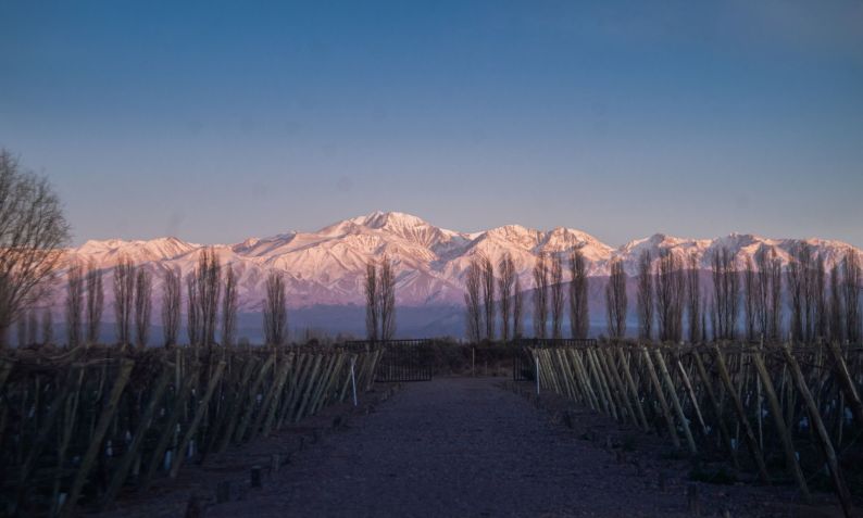 Hotel Boutique dedicado ao mundo do vinho entre vinhedos e a Cordilheira dos Andes / Reprodução site oficial