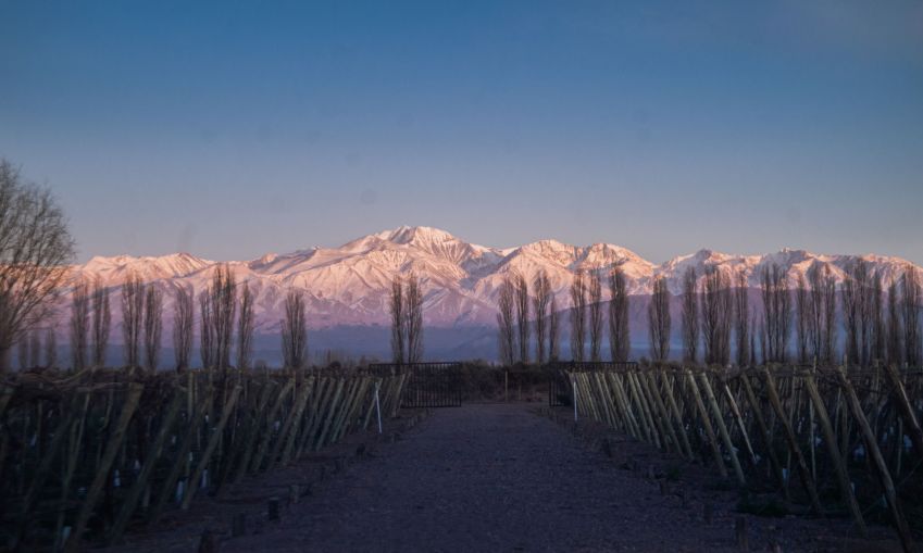 Hotel Boutique dedicado ao mundo do vinho entre vinhedos e a Cordilheira dos Andes / Reprodução site oficial