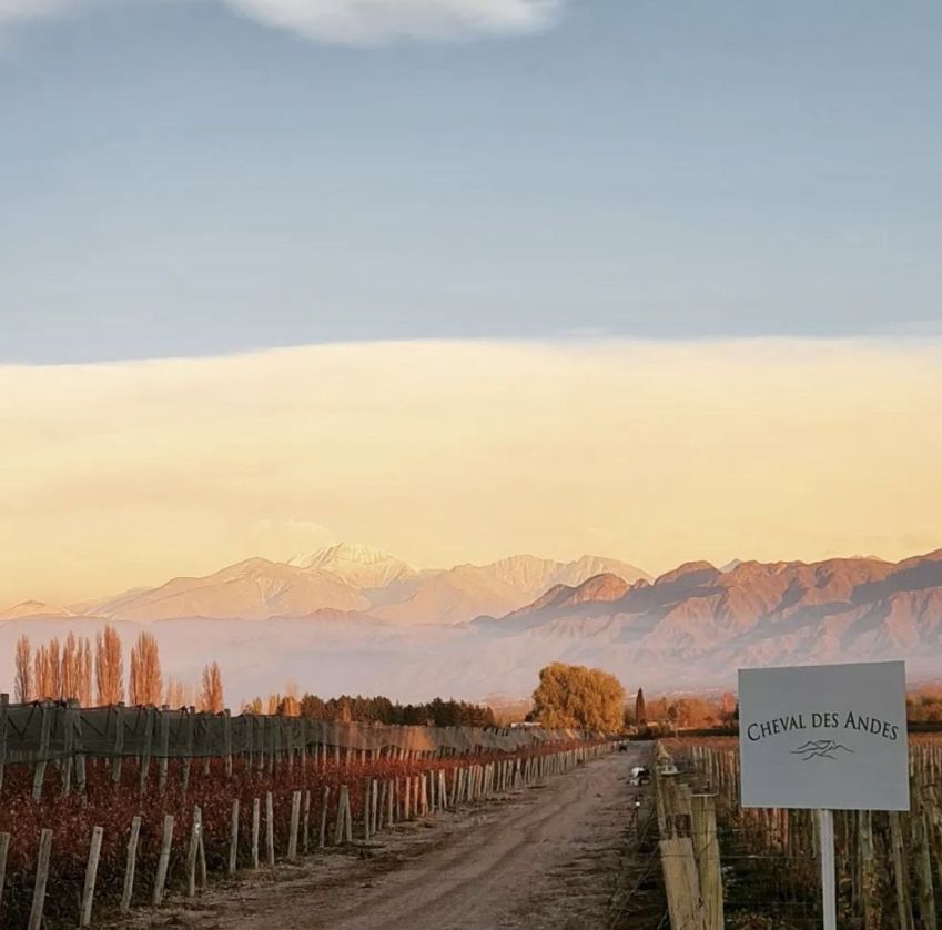 Cheval des Andes nasceu de uma aliança entre a renomada casa francesa Château Cheval Blanc e a Argentina Terraza De Los Andes / Reprodução Instagram