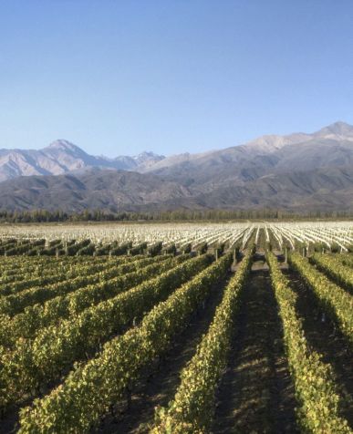 Terraza de Los Andes arquitetura espanhola do século XIX como inspiração e o malbec como foco / Reprodução Facebook