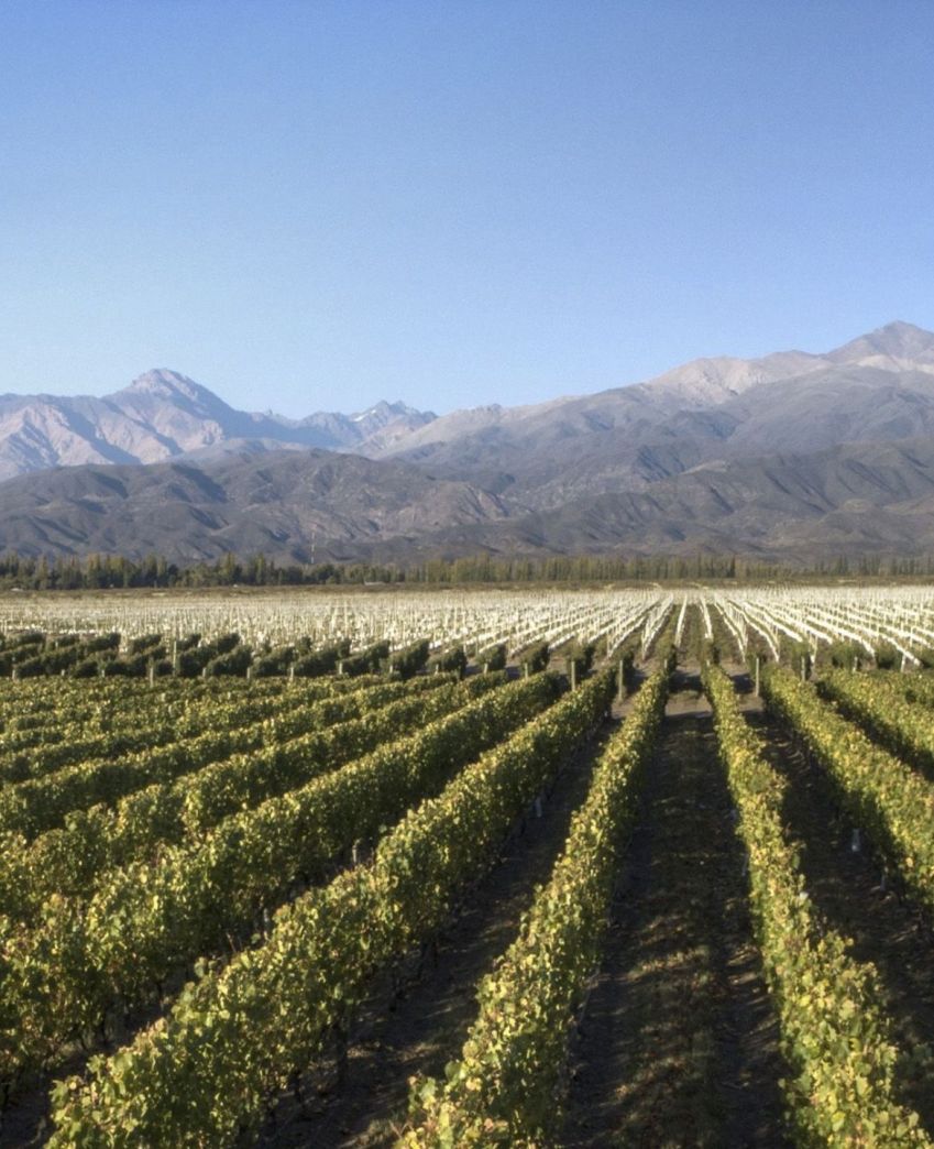 Terraza de Los Andes arquitetura espanhola do século XIX como inspiração e o malbec como foco / Reprodução Facebook