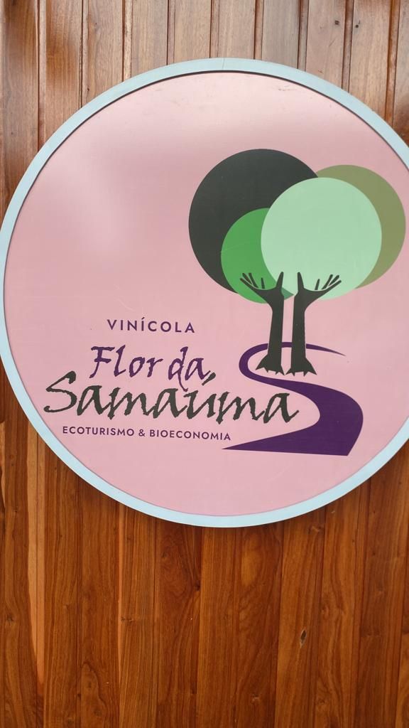 Vinícola Flor da Samaúma, no Amapá / Caio Junqueira/CNN Brasil
