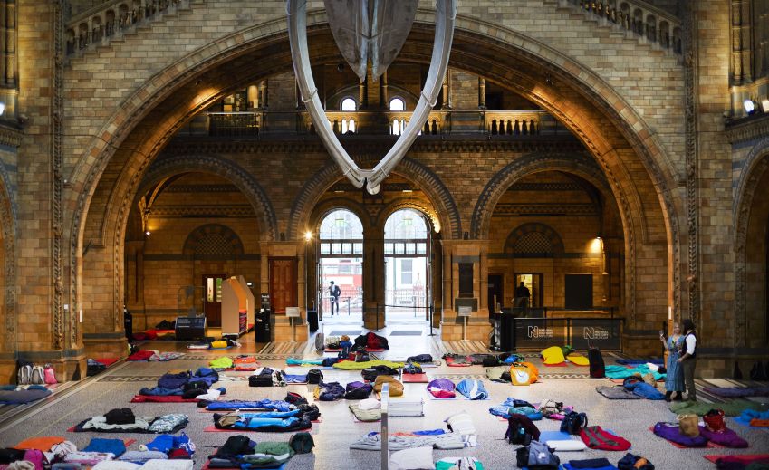 Museu de História Natural de Londres tem programações especiais para adultos e crianças • NHM London