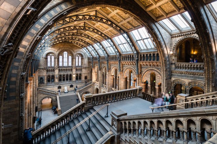 Interior do Museu de História Natural de Londres / Barney Moss