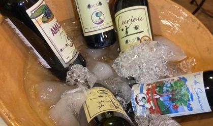Amapá aposta em bioeconomia e desenvolve “vinho de açaí”