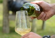 Conheça 4 pequenas vinícolas no Uruguai que você ainda vai ouvir falar