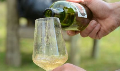 Conheça 4 pequenas vinícolas no Uruguai que você ainda vai ouvir falar
