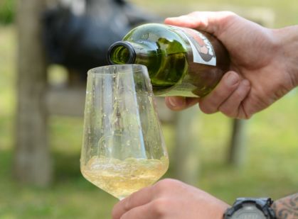 Bodega Colorado Chico produz vinhos próprios e para outros projetos do Uruguai