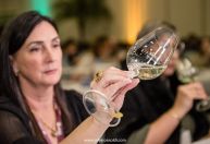 Avaliação Nacional de Vinhos premia 16 amostras mais representativas do terroir brasileiro