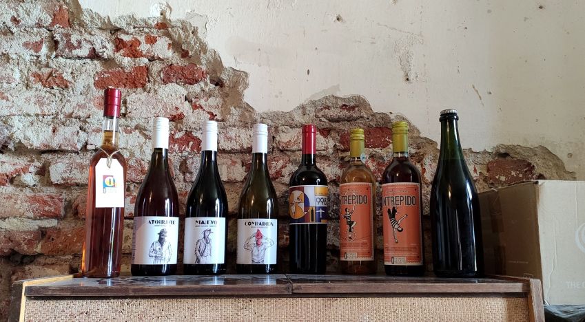 Vinhos da La Bodeguita del Cacho, pequena vinícola na região de Canelones / Giuliana Nogueira