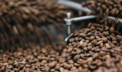 Arábica e Canephora: desvende os perfis dos cafés mais famosos do Brasil