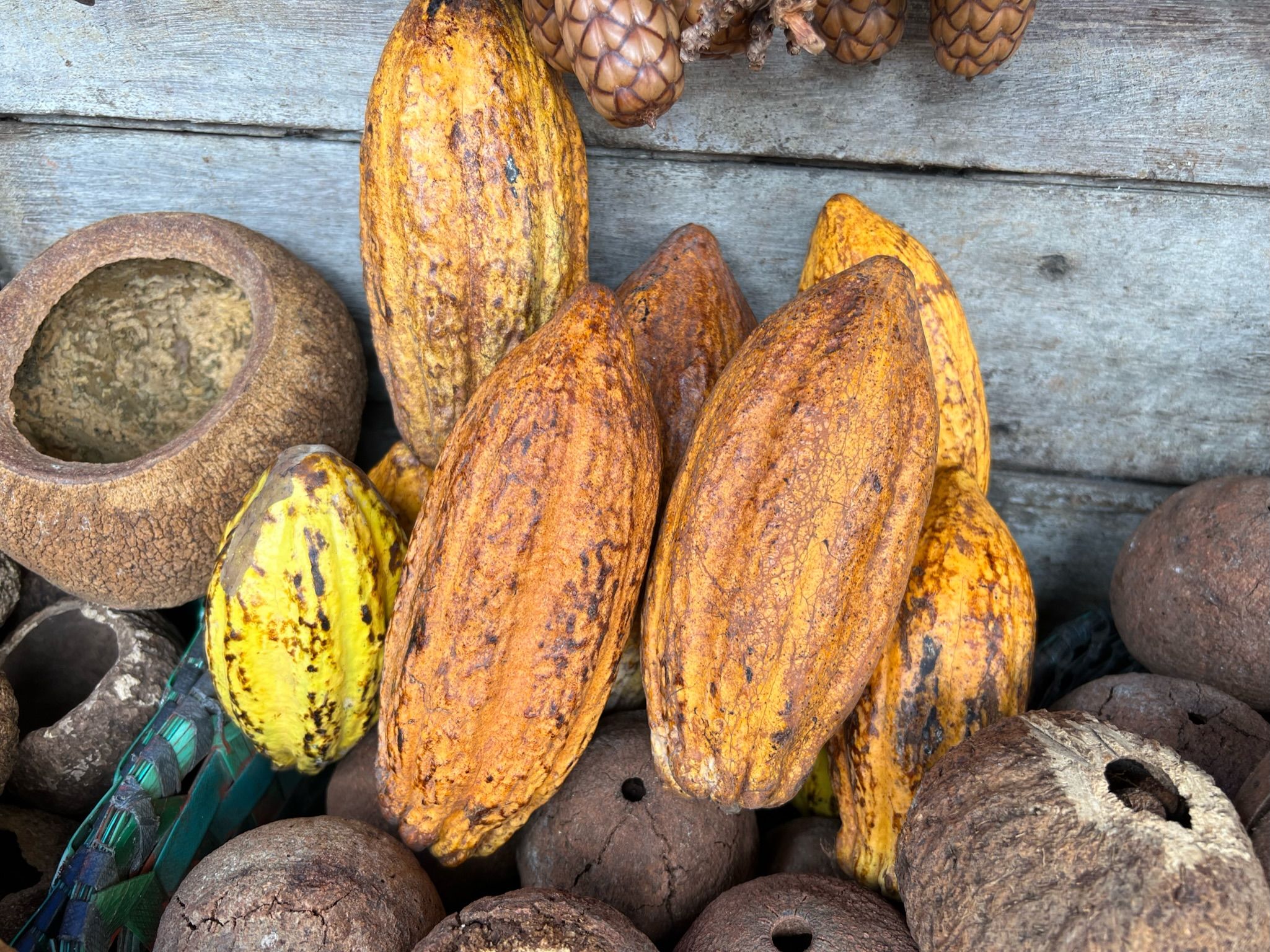 Mercado Ver-O-Peso é ponto de encontro da culinária e cultura paraense • CNN Viagem & Gastronomia