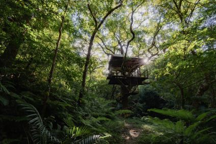 Treeful Treehouse Sustainable Resort