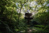 Um dos hotéis mais elegantes do Japão é uma casa na árvore; confira