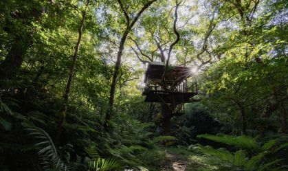 Um dos hotéis mais elegantes do Japão é uma casa na árvore; confira