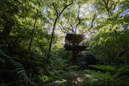 Treeful Treehouse Sustainable Resort