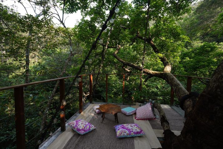 Imagens da Spiral Treehouse, habitação da Treeful / Divulgação/Treeful Treehouse Resort