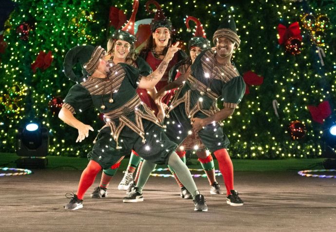 Projeto criado na Alemanha, Parada das Luzes é gratuita e faz sucesso no Brasil desde 2017 / Lucia Oliveira