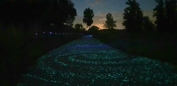 Ciclovia inspirada em &quot;A Noite Estrelada&quot; na Holanda