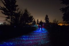 Pessoas andam de bike na ciclovia holandesa inspirada por obra de Van Gogh