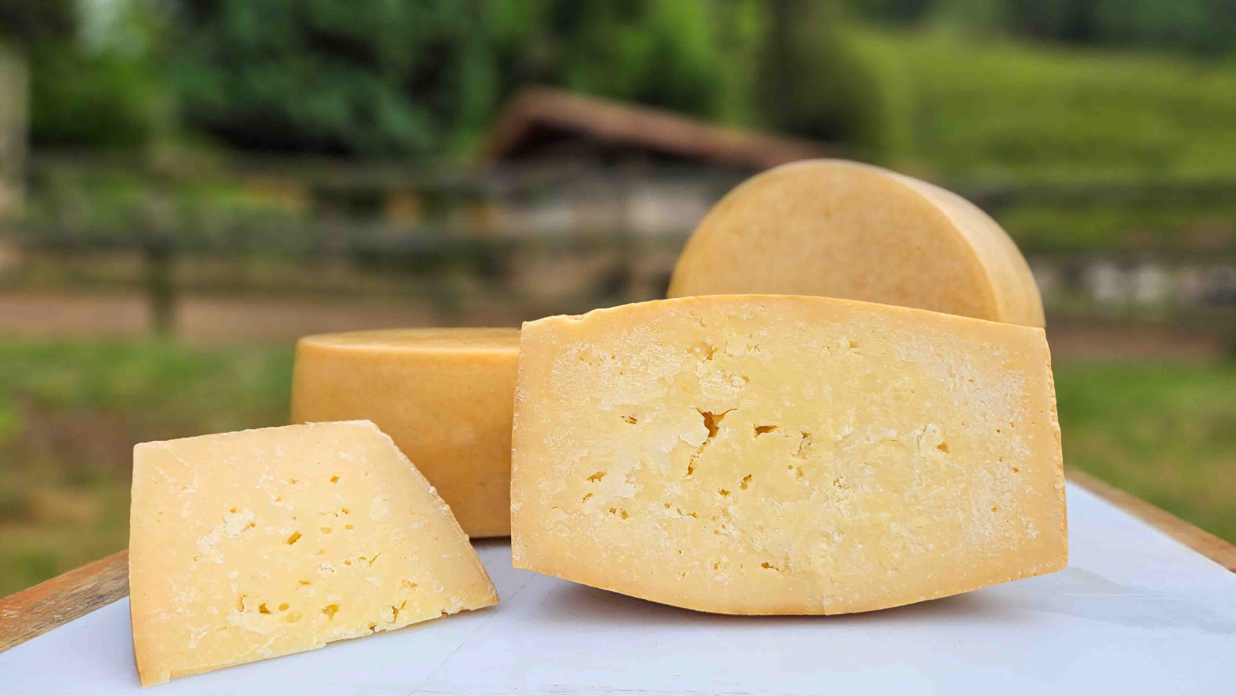 De 22 medalhas de ouro que Minas Gerais conquistou, os produtores da Mantiqueira alcançaram sete.