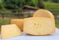 Queijos da Mantiqueira conquistam 7 medalhas de ouro em concurso internacional