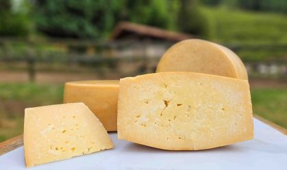 Queijos da Mantiqueira conquistam 7 medalhas de ouro em concurso internacional