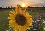 Conheça os turistas mais atrapalhados e malcomportados de 2023