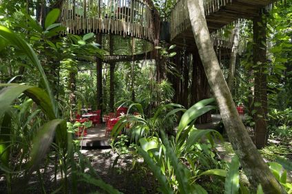 Restaurante Nest