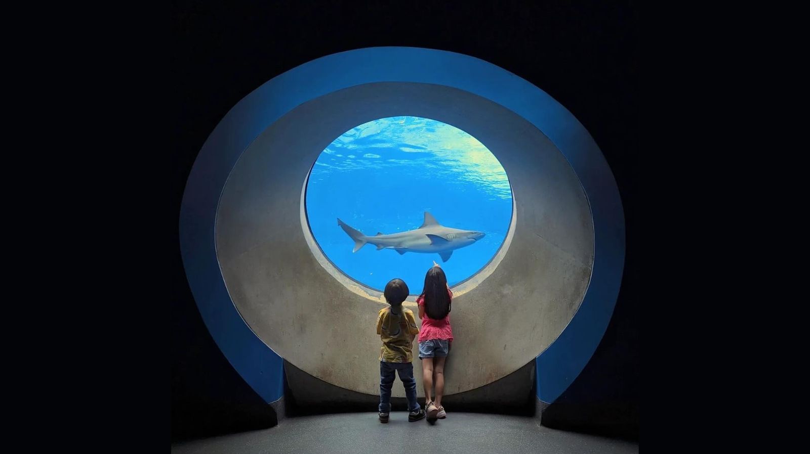 O aquário do Phillip and Patricia Frost Museum of Science deixa as crianças fascinadas • Reprodução/Instagram
