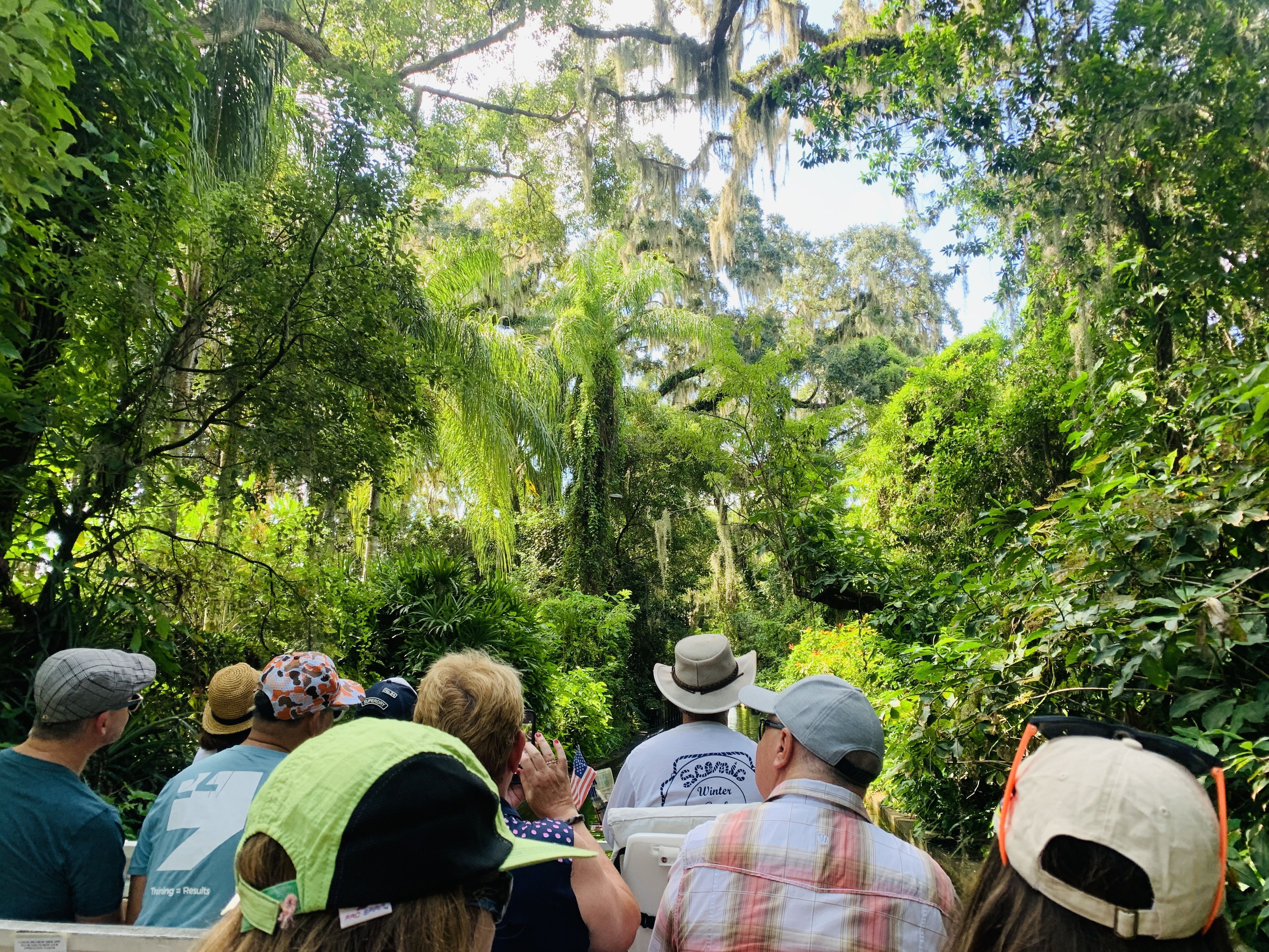 Mesmo em meio a um centro urbano, Scenic Boat Tour garante cenários recheados de natureza / Saulo Tafarelo