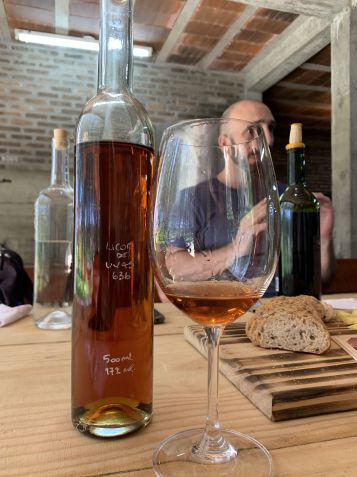 Degustação na Bodega Viña 636 com o enólogo Thiago Gutiérrez / Giuliana Nogueira