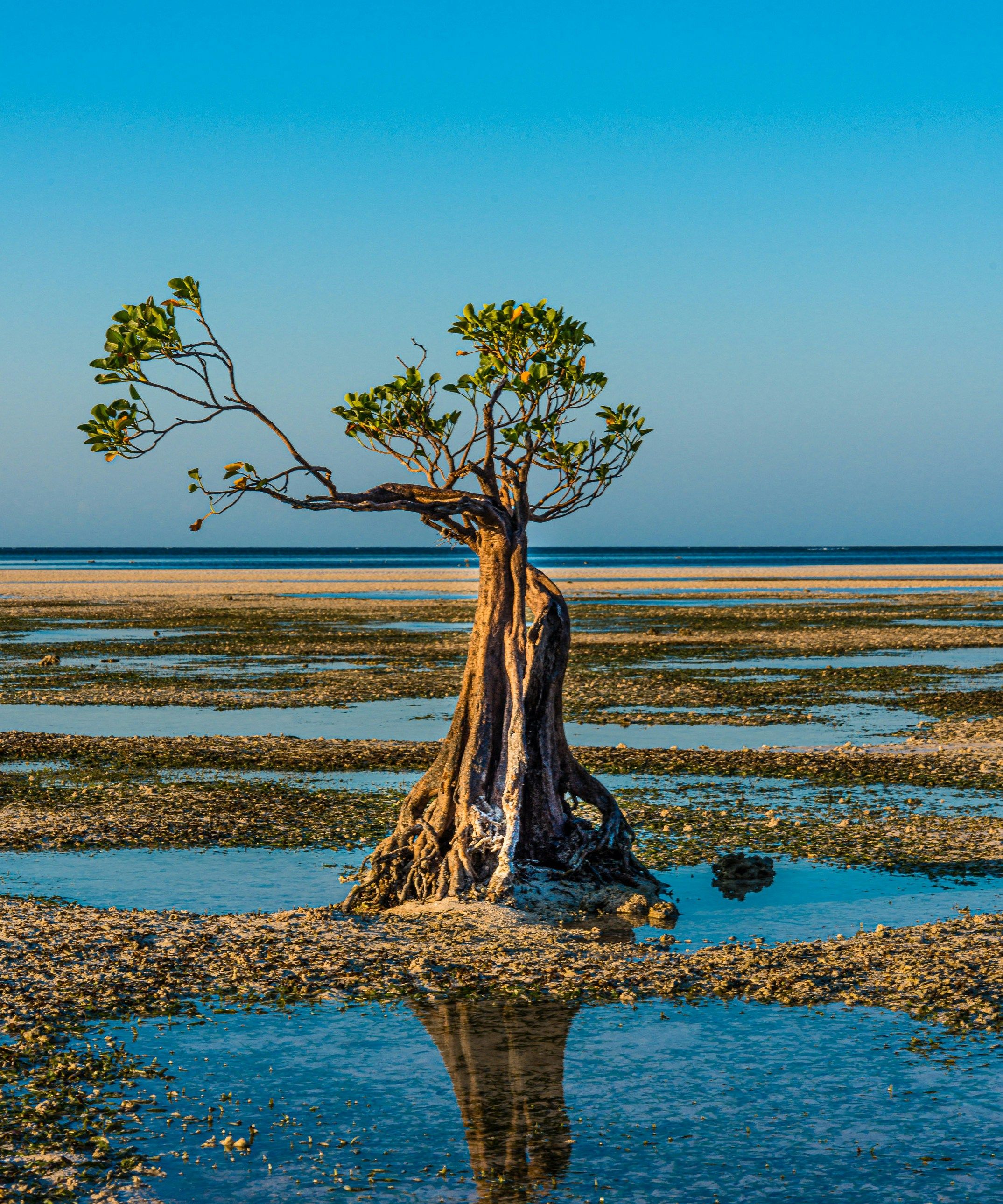 Praia walakiri e regência do Sumba oriental, Indonesia / sutirta budiman/Unsplash