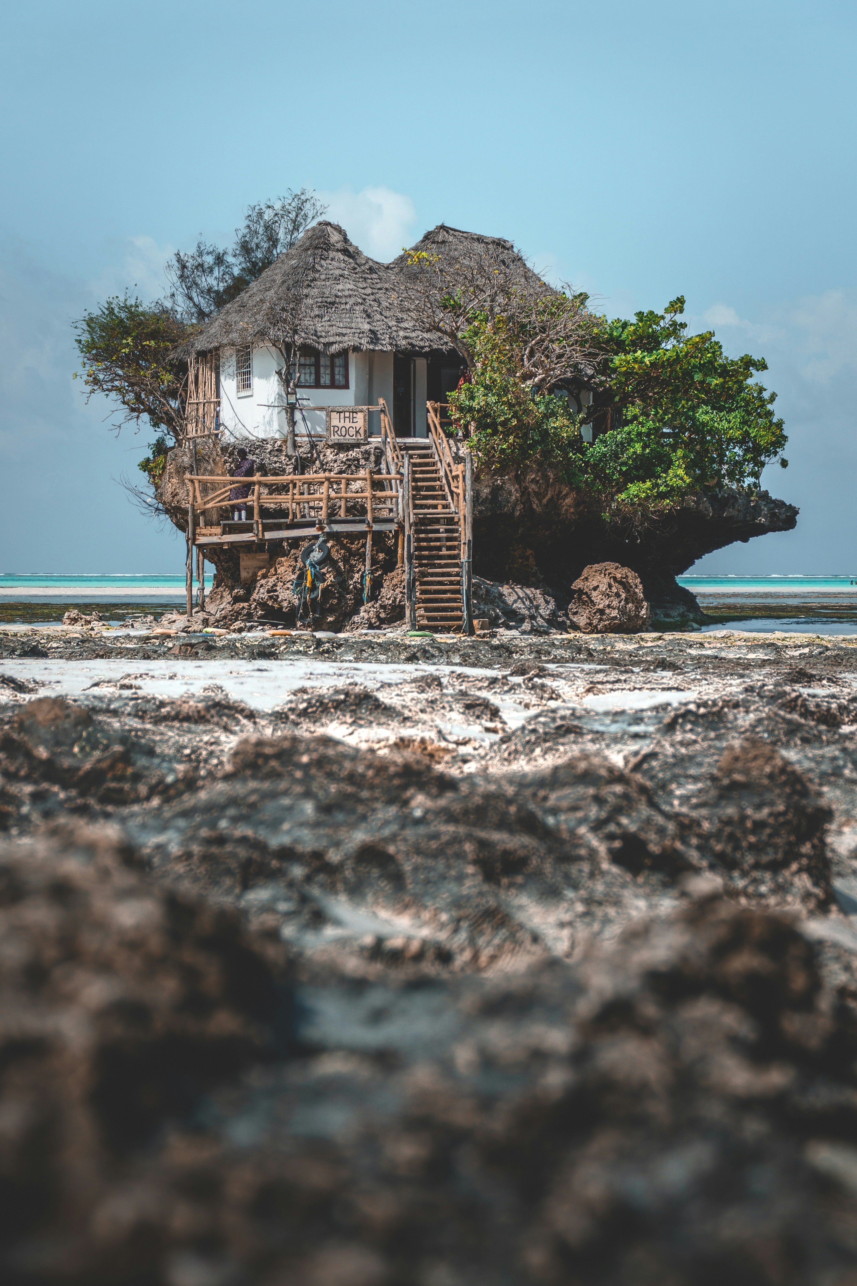 The Rock se tornou uma espécie de sensação no Instagram. / Patrick Mueller/Unsplash
