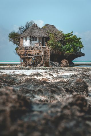 The Rock se tornou uma espécie de sensação no Instagram. / Patrick Mueller/Unsplash