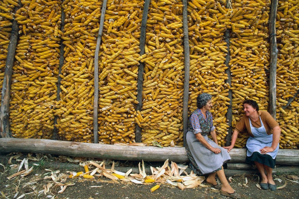 Mulheres descansam depois de colher e armazenar milho no Piemonte, Itália. DEA/G. P. Cavallero/Getty Images / De Agostini/Getty Images