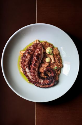 Arroz de Corais do Koral • Yasmin Alves
