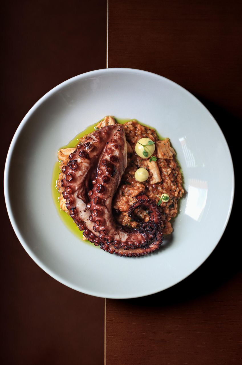 Arroz de Corais do Koral • Yasmin Alves
