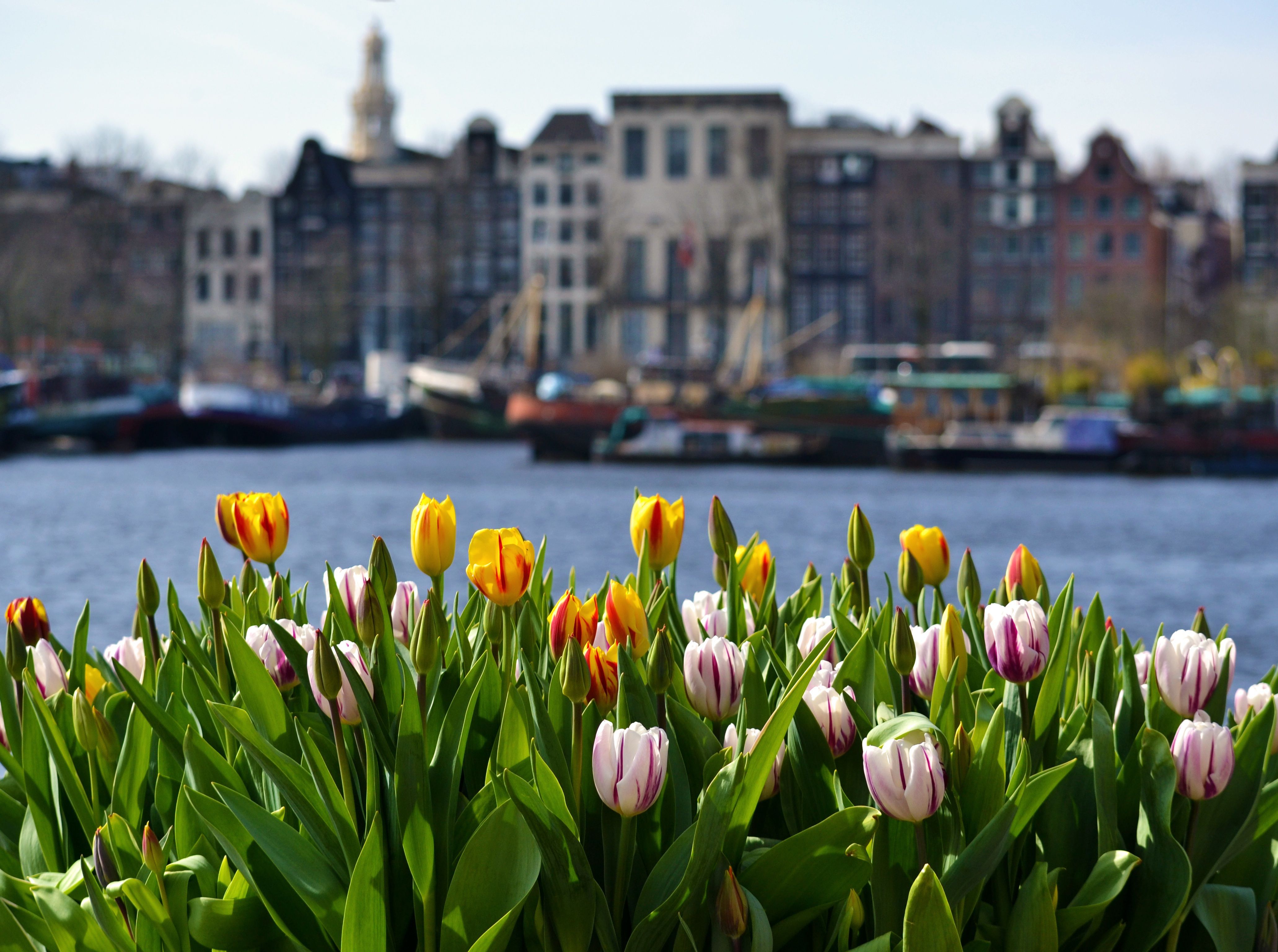 amsterdam-4350882
