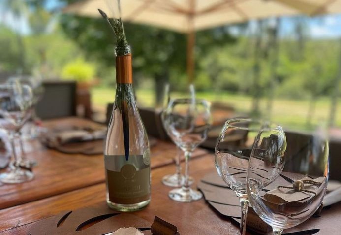 Experiência enogastronômica na Fazenda Ercoara conta com menu harmonizado com os vinhos especiais de colheita de inverno, monitoria para crianças e visita aos vinhedos / Ercoara/Instagram