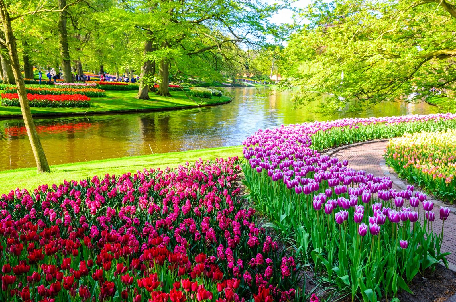 Parque Keukenhof  é um dos principais pontos turísticos para apreciar as tulipas / Reprodução site