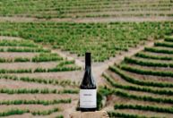 Menin Wine Company é eleita Produtora do Ano em tradicional prêmio português