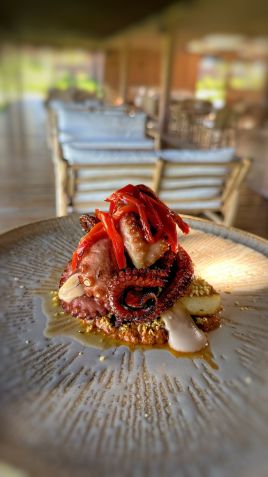 Polvo do Tahí Restaurante / Tina Bini