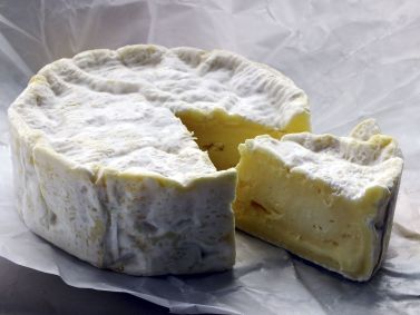 A casca branca distintiva de Camembert é criada por um fungo que os cientistas dizem que está em crescente escassez.