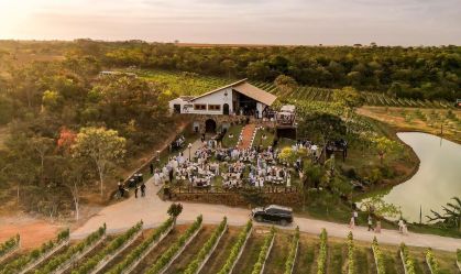 Vinhos do Cerrado: 5 vinícolas para visitar nos arredores de Brasília