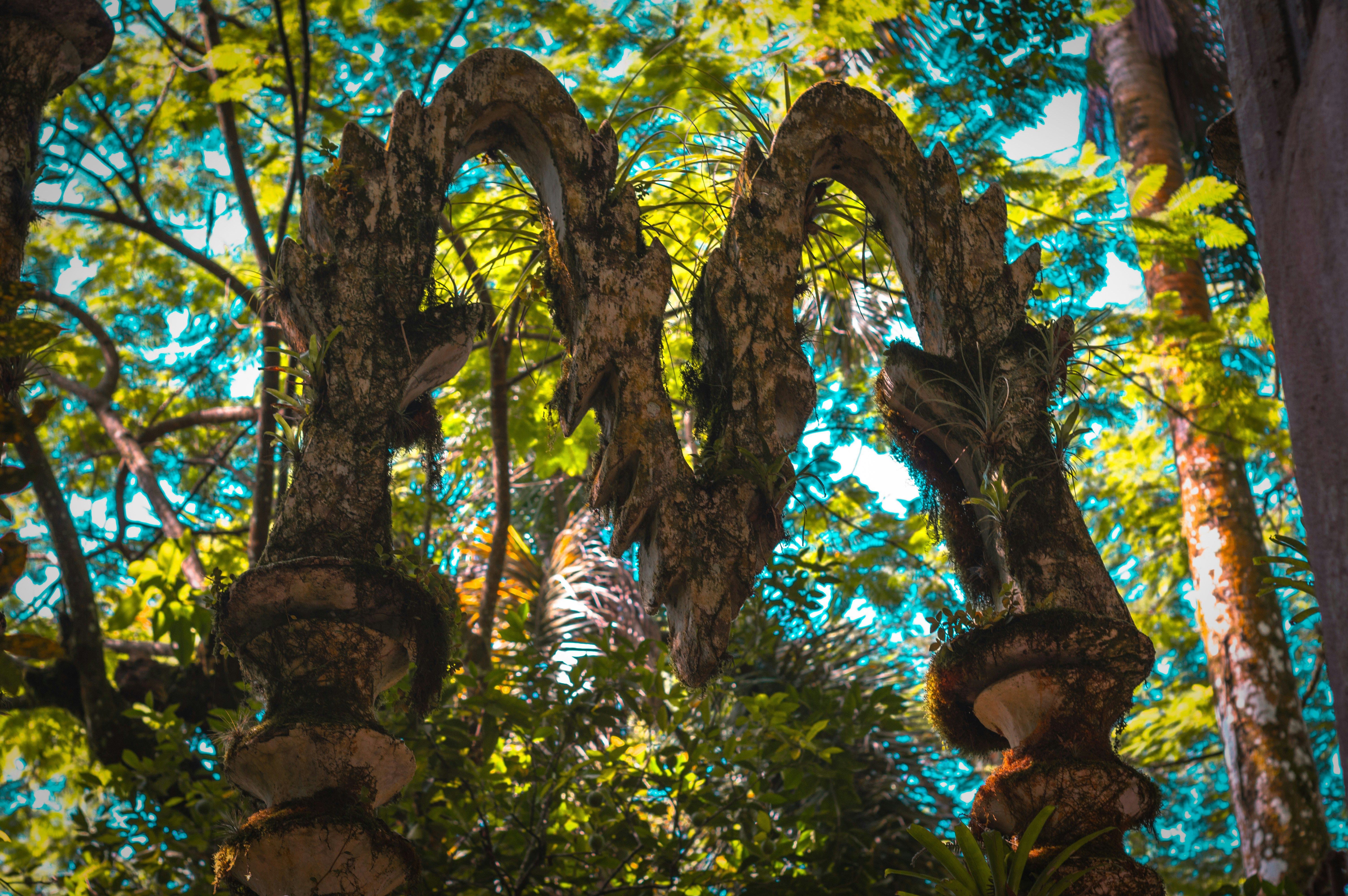 Las Pozas é um jardim surrealista escondido na selva na cidade de Xilitla. / Danaus Mx/Unsplash