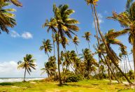 Ilha oferece experiências autênticas e algumas das melhores praias do Caribe