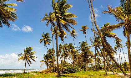 Ilha oferece experiências autênticas e algumas das melhores praias do Caribe