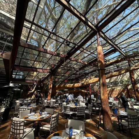 Ambiente interno do restaurante A Figueira Rubaiyat, nos Jardins, em SP / Reprodução/@afigueirarubaiyat/Instagram